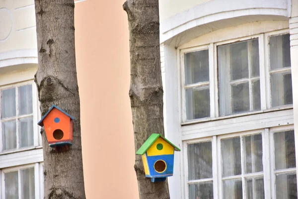 Houten Vogelhuisje Voor Vogels Aan Een Boom — Stockfoto