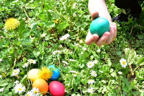 Painting Eggs Easter Outdoors — kuvapankkivalokuva