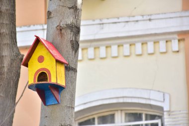 Ağaçtaki kuşlar için ahşap kuş yuvası