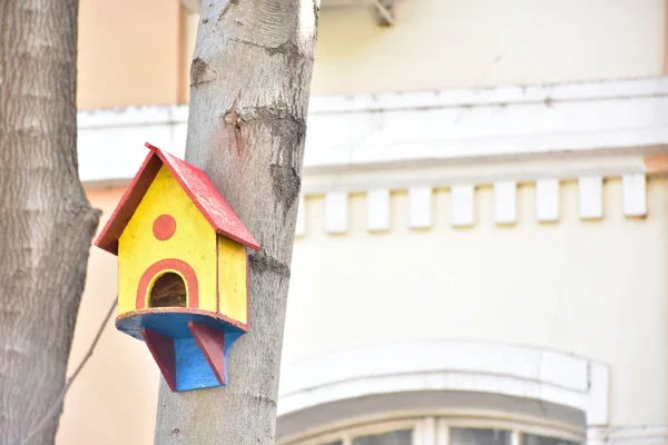 Casa Pássaro Madeira Pássaros Uma Árvore — Fotografia de Stock