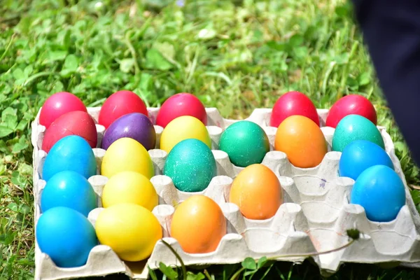 Pintar Huevos Para Semana Santa Aire Libre —  Fotos de Stock