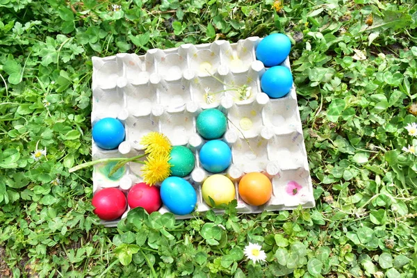 Pintar Huevos Para Semana Santa Aire Libre — Foto de Stock