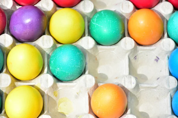 Paskalya için açık havada yumurta boyamak,