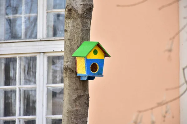 Casa Pássaro Madeira Pássaros Uma Árvore — Fotografia de Stock