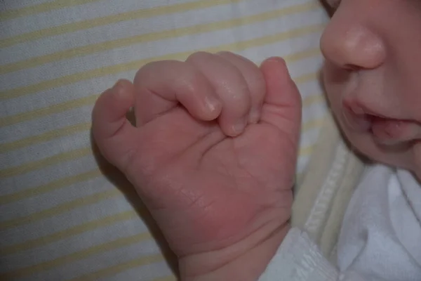 Mão Uma Criança Mão Adulto — Fotografia de Stock