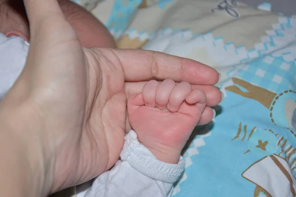 Hand Ett Barn Handen Vuxen — Stockfoto