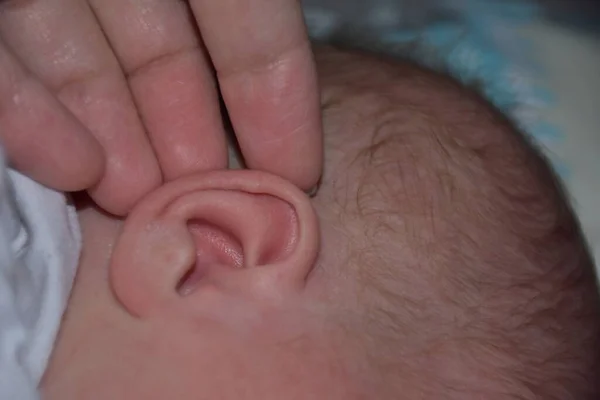 Nyfött Barns Öra Och Hand — Stockfoto