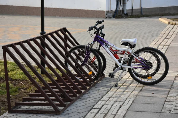 Cykel Parken Grönt Landskap — Stockfoto