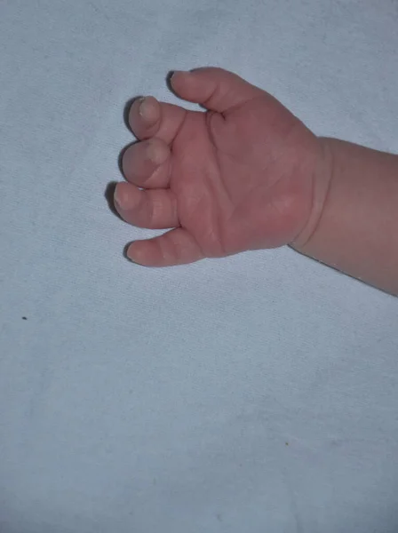 Hand Van Een Kind Hand Van Een Volwassene — Stockfoto