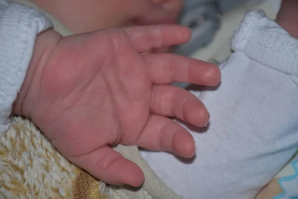 Hand Child Hand Adult — Stock Photo, Image