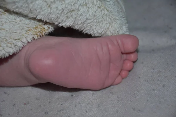 Beine Eines Neugeborenen Babys — Stockfoto