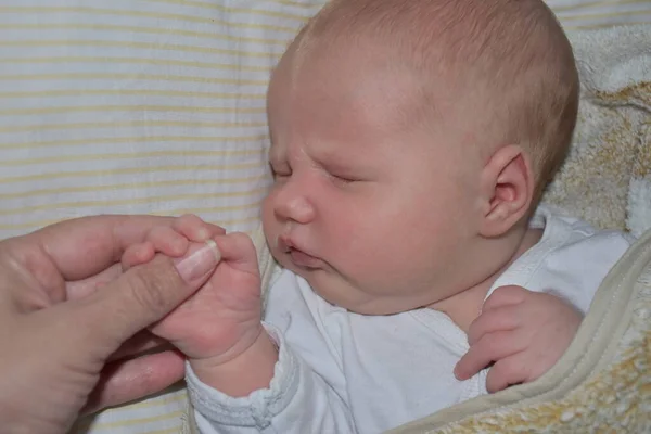 Újszülött Csecsemő Fehér Háttérrel — Stock Fotó