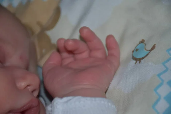 Pasgeboren Baby Een Witte Achtergrond — Stockfoto