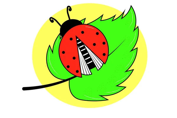 Illustration Ladybug Leaf — Stock Vector