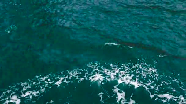 Cyan Sea Water Surface Waves Foam Ship Vue Dessus Uhd — Video