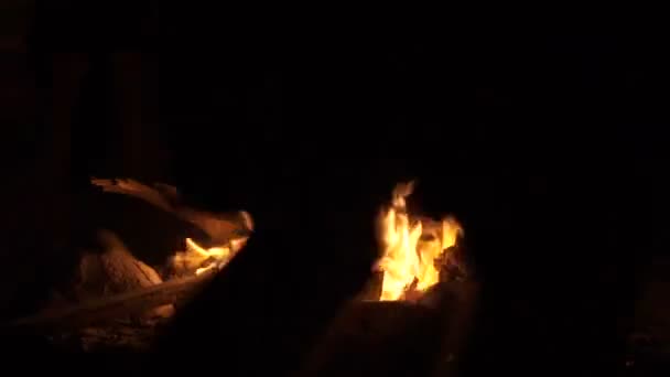 燃焼たき火を囲んでの野生の狂気の部族ヒッピー ヨガ ダンサー — ストック動画
