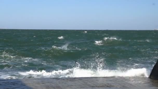 Grande onda frantumazione a fronte mare in calcestruzzo Embankment — Video Stock