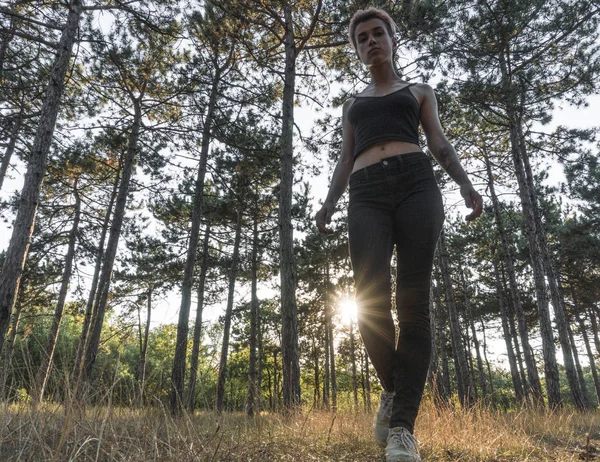 Jovem Bonita Punk Girl em Pano Negro com Cabelo Rosa andando na Floresta de Pinheiro ao pôr do sol — Fotografia de Stock