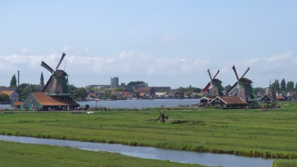 Traditionele Holland windmolens in de Zaanse Schans, Nederland. Toeristische dorp in de buurt van het Amsterdam met de windmolens en historische Nederlandse huizen — Stockvideo