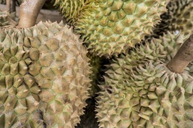 Durian meyve pazarında Grup.