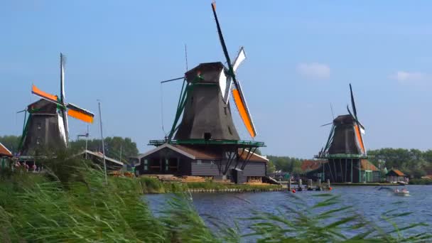 Molinos de viento tradicionales de Holanda en Zaanse Schans, Países Bajos. Villa turística cerca de Ámsterdam con los molinos de viento y casas históricas holandesas — Vídeo de stock