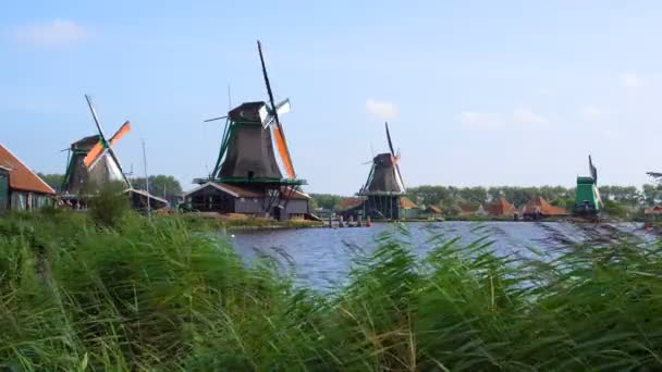 Traditionelle holländische Windmühlen in zaanse schans, Niederlande. touristisches dorf in der nähe von amsterdam mit den windmühlen und historischen holländischen häusern — Stockvideo