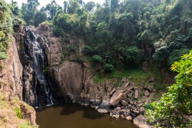 Orman tarafından çevrili bir şelale peyzaj.