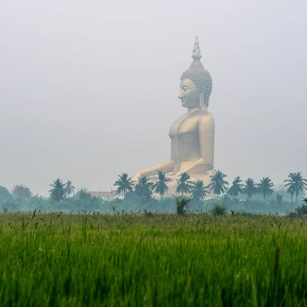 Μεγάλο κάθεται Βούδα πάνω από φοίνικες και ορυζώνες. Ο μεγαλύτερος Βούδας της Ταϊλάνδης. Ang Thong επαρχία, Ταϊλάνδη — Φωτογραφία Αρχείου
