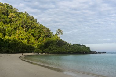 Tayland, Mu palmiye ağaçları ile temiz beyaz kum plaj dağda gölgesinde Koh Surin Milli Parkı