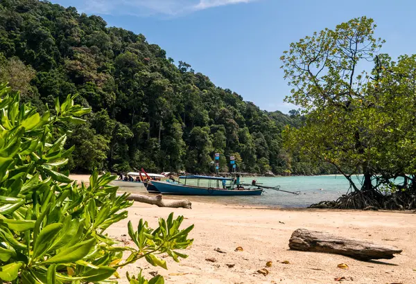 Tradycyjny tajski długi ogon łodzi na biały piasek plaży z palmami w Tajlandii, Mu ko Surin Park Narodowy — Zdjęcie stockowe