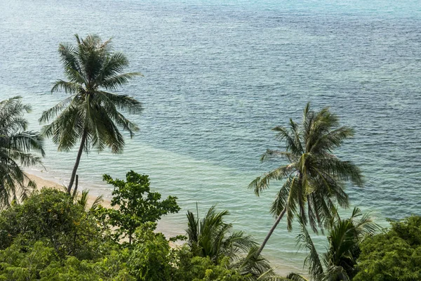 Schoon wit zand strand met palmbomen in Thailand, Koh Phangan — Stockfoto