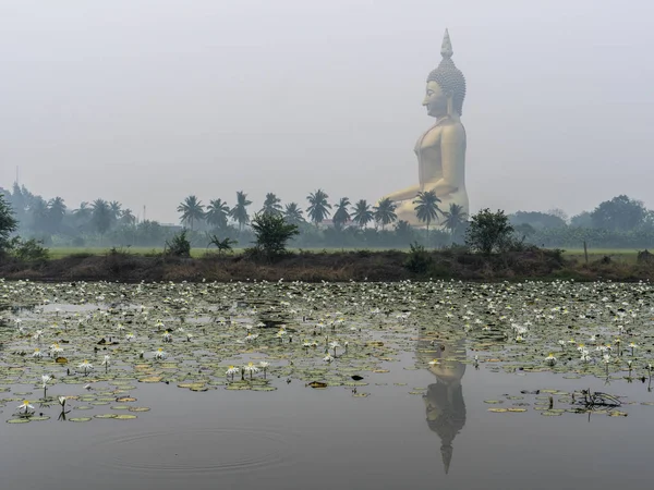 Duży siedzący Budda nad drzewami palmowymi i pola ryżowe. Największych Buddy w Tajlandii. Prowincja Ang Thong, Tajlandia — Zdjęcie stockowe