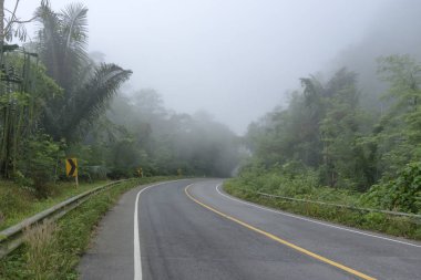 Misty asfalt yol Tayland Ulusal Parkı'nda ormanın ortasında yaban hayatı ve doğa manzaralı.