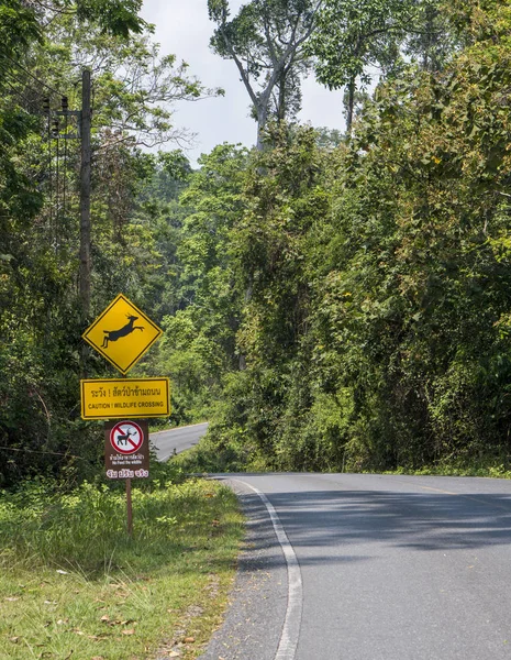 Asfaltweg met Wildlife overschrijding van teken. Natuur en wildlife uitzicht midden in de jungle in het nationale Park van Thailand. — Stockfoto