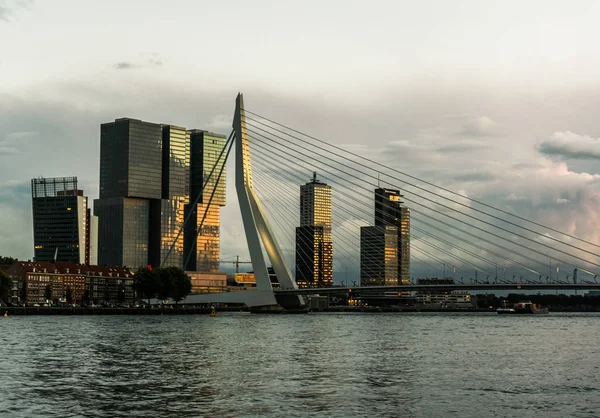 Akşam Rotterdam manzarası ile Erasmus Köprüsü Kop van Zuid mahalle, Hollanda — Stok fotoğraf