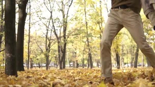 秋の公園とキックでウォーキング サングラスの若いストリート スタイル カジュアルな男黄色のカエデの葉します。 — ストック動画