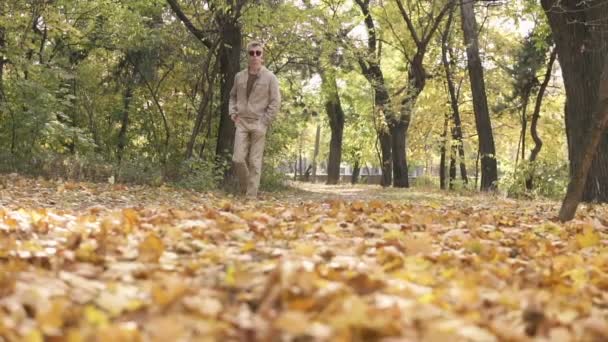 Jeune homme de rue décontracté en lunettes de soleil marchant dans le parc d'automne et donnant un coup de pied aux piles de feuilles d'érable jaune — Video