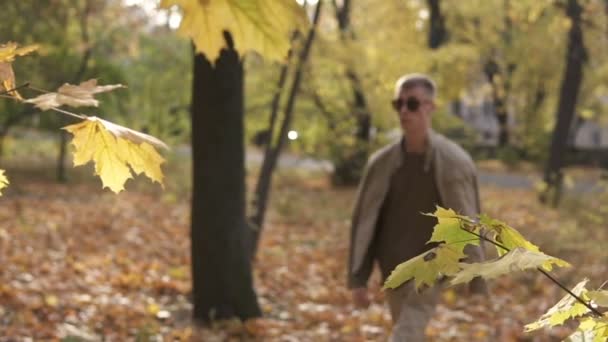 年轻的街头时尚的随意男子戴着太阳镜走在秋天的公园 撕掉了黄色的枫叶 慢动作 — 图库视频影像