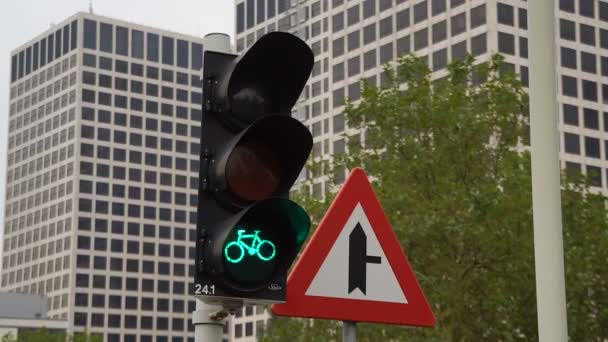 Ampeln für Fahrräder an der Kreuzung. Rote Ampel für Fahrräder — Stockvideo