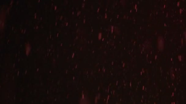 Les flocons de neige tombent la nuit dans la lumière rouge. 4k UHD 