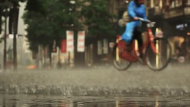 Contexte de pluie abondante sur la rue de la ville. En temps réel. Une femme à bicyclette passe. Bokeh brouillé. Fond naturel — Video