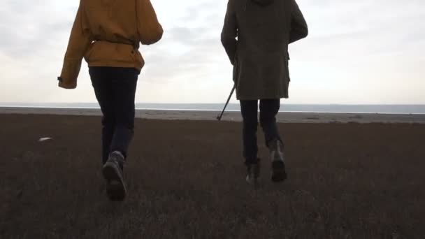 Man en meisje lopen in bewolkt woestenij. Stalker - Survival concept. Echtpaar met vuurwapens wapens. Meisje met geweer en man met geweer. — Stockvideo