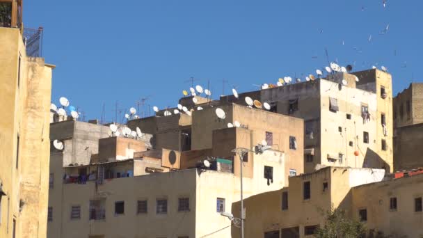 Stormo di colombe vola intorno sopra gli edifici tradizionali del Nord Africa con antenne paraboliche sul tetto di Fes, Marocco — Video Stock