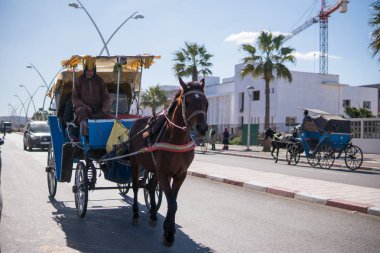 Fas, Essaouira-22 Jan 2019: taşıma at ve taksi Fas asila