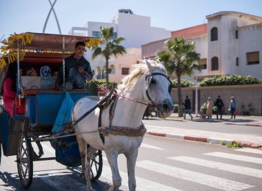 Fas, Essaouira-22 Jan 2019: taşıma at ve taksi Fas asila