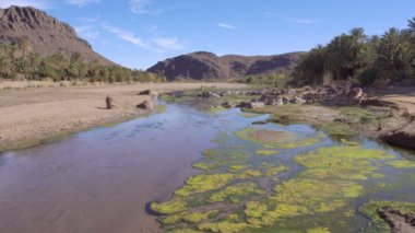 Fas 'ta Ourzazate yakın Oasis de Fint güzel vahası manzara, Kuzey Afrika.