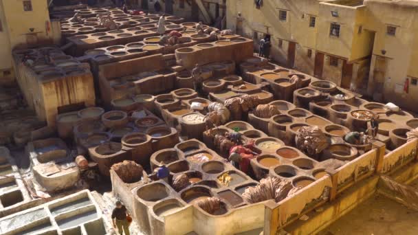 Tanneries chouara w Fezie, Maroko, Afryka. Stare czołgi z kolorową farbą do skóry — Wideo stockowe