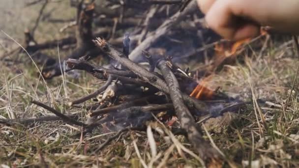 이른 봄 또는을 자연에서 모닥불을 만드는 사람의 손 — 비디오