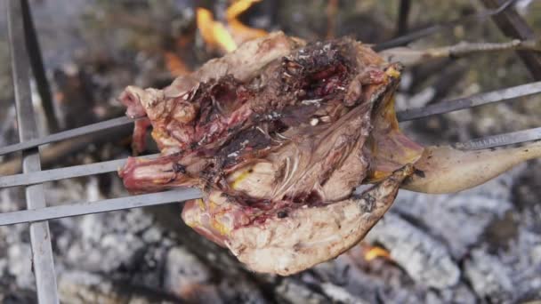 닭 사냥 테마를 준비. 맛 있는 파 삭 파삭한 갈색 새 볼을 닫습니다 불타는 석탄 및 뜨거운 화 염 지상에 만든와 모닥불 철 꼬치에 전신 꿩 요리, — 비디오