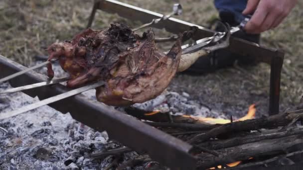 鶏、狩猟のテーマを準備します。鉄串に全身キジ料理を地面に作られた石炭を燃焼とキャンプファイヤー、クローズ アップおいしいクリスピー茶色の鳥観 — ストック動画